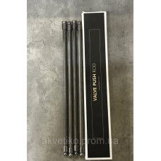 Пестик клапана (штанга) WP12 Креатек 61800050143