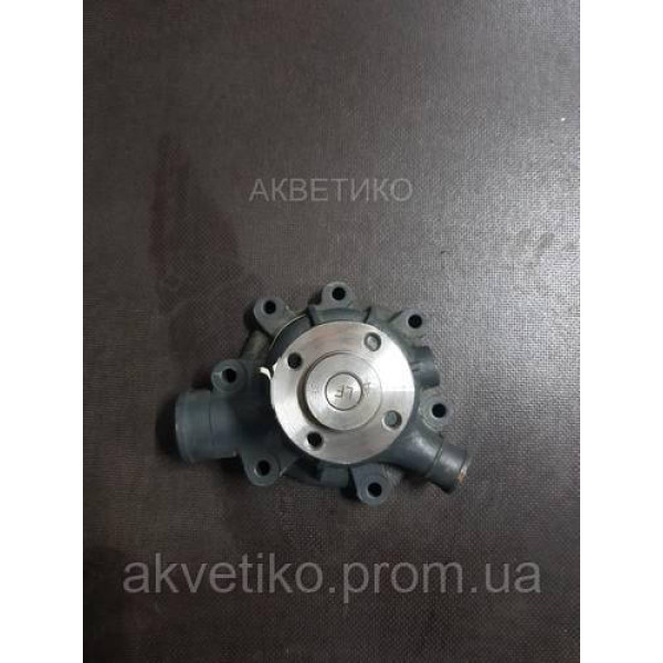 Насос водяной (насос)