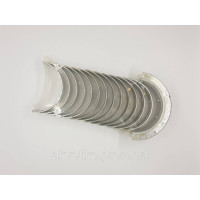 Вкладки коренные Cummins 3.9, 5.9 3906562/397820/3978824/4955853/3939859/397818