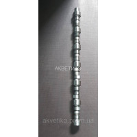 Вал распределительный (отдохнул) Сummins 8.3, 8.9 3976619, 3976620