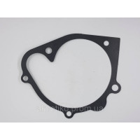 Прокладка водяного насоса (помпи) на Shanghai D6114 D02A-307-01