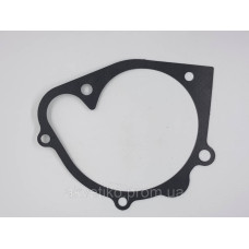 Прокладка водяного насоса (насоса) на Shanghai D6114 D02A-307-01