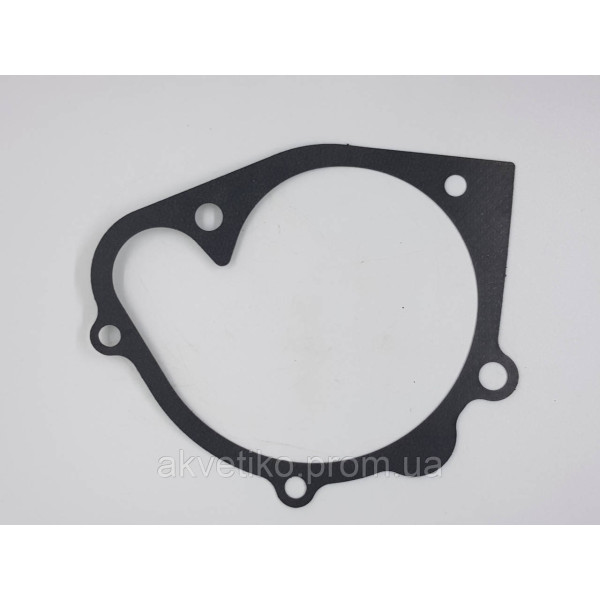 Прокладка водяного насоса (насоса) на Shanghai D6114 D02A-307-01