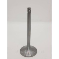 Клапан впускной двигателя Deutz TD226B, WP6 12159606, 12911725