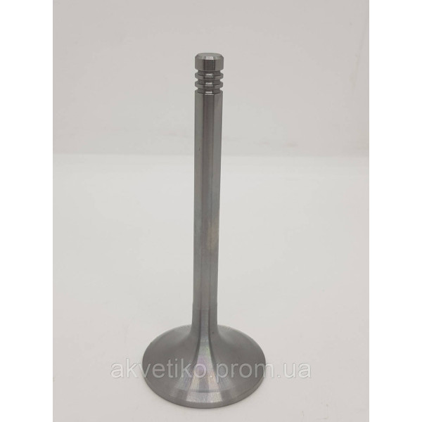 Клапан впускной двигателя Deutz TD226B, WP6 12159606, 12911725