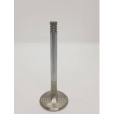 Клапан выпускной Deutz TD226B, WP6 12159608