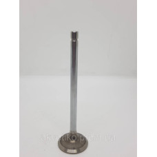 Клапан выпускной Cummins 4BT3.9/6BT5.9 3920868