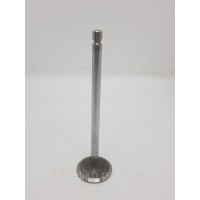 Клапан впускной Cummins 6CT8.3, QSC8.33924492