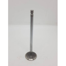 Клапан впускной Cummins 6CT8.3, QSC8.33924492